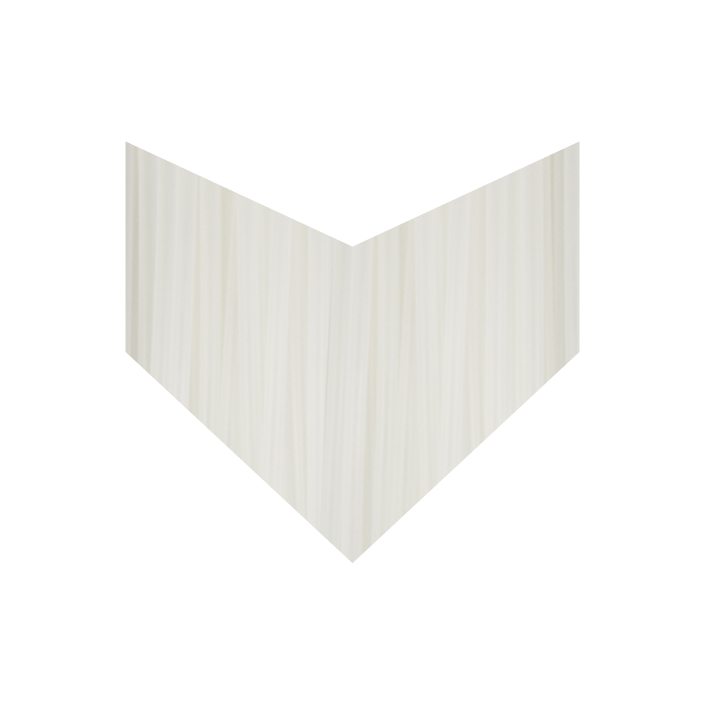 nylon pa6